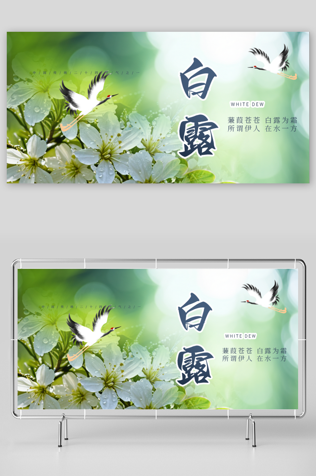 大气白露二十四节气展板素材