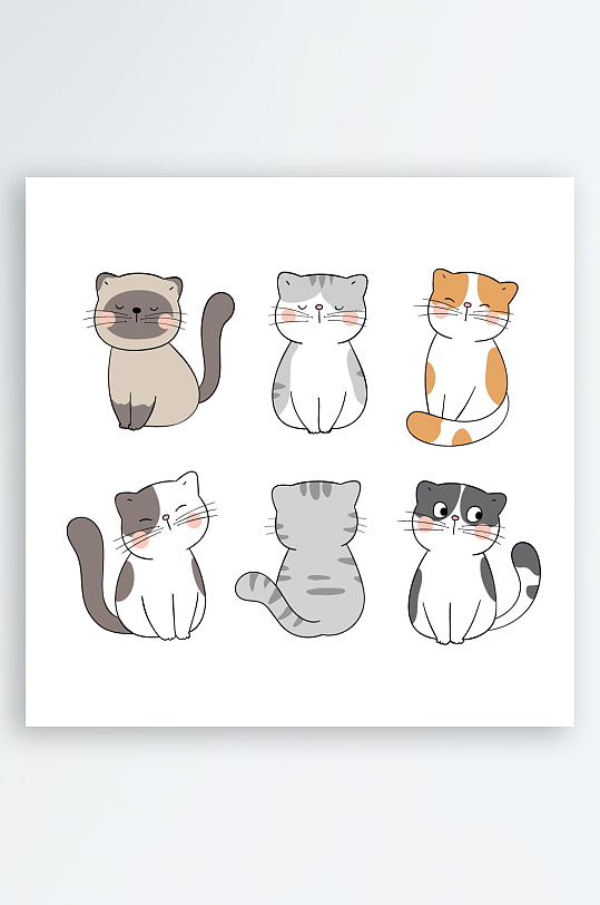 手绘卡通可爱风宠物猫小猫品种猫猫咪插画