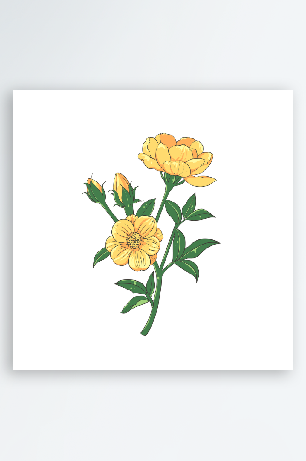 花卉手绘插画元素素材