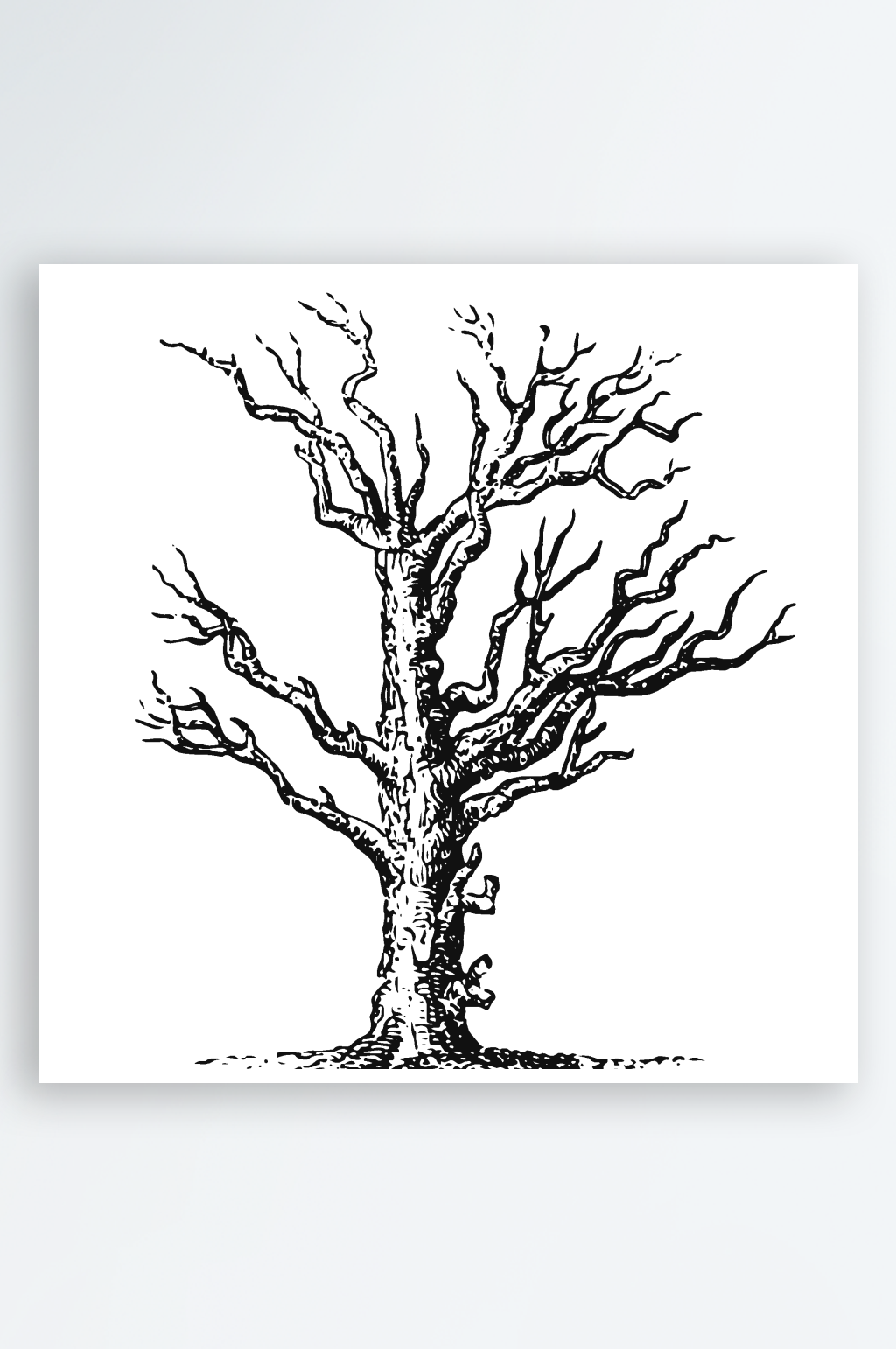 黑白线描树木大树素材素材