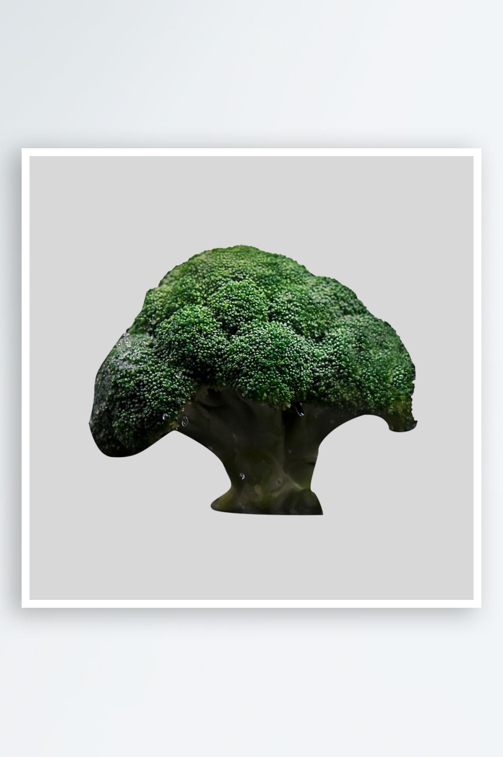 美味西兰花免抠摄影图素材