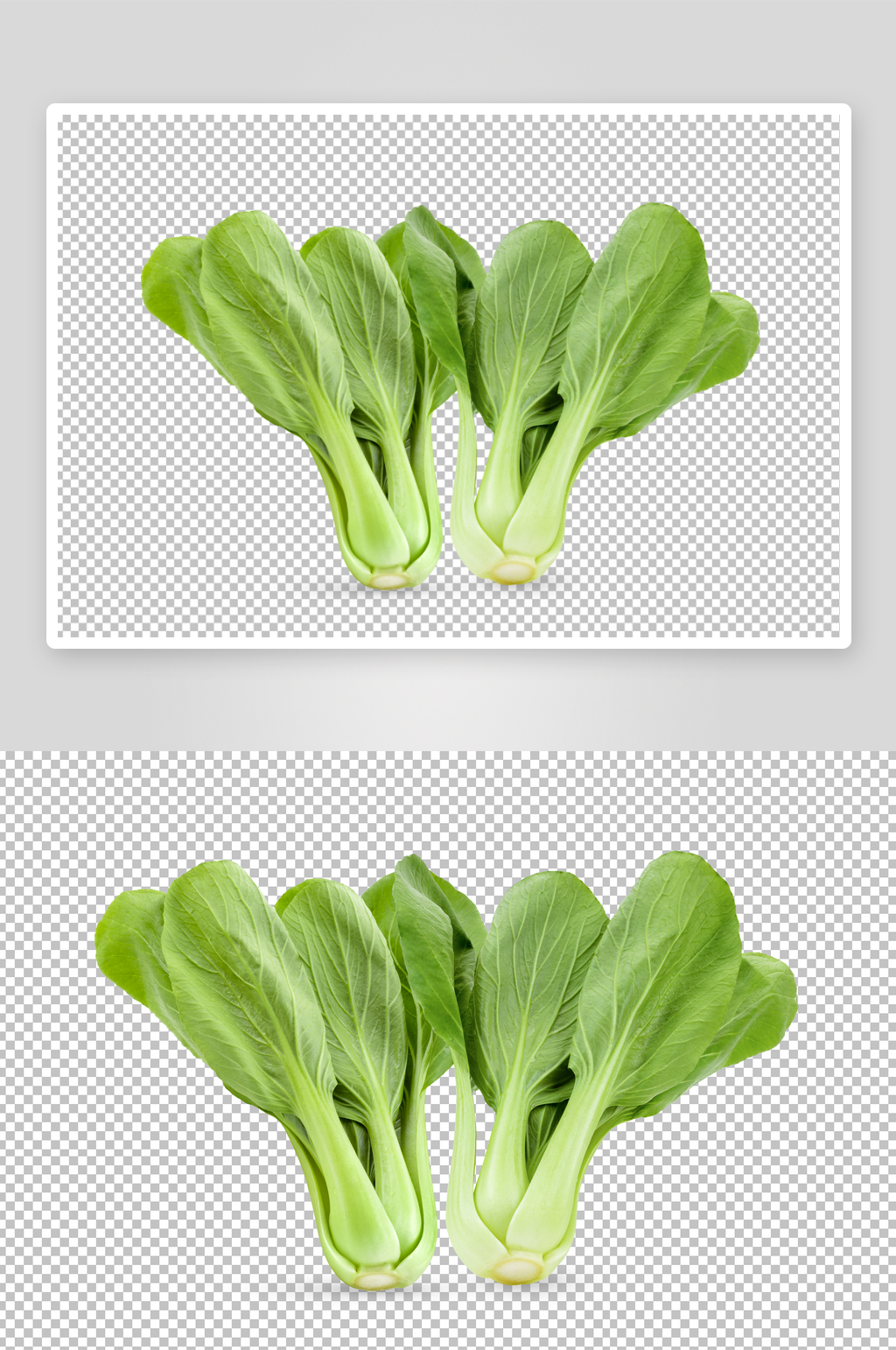 高清油菜蔬菜元素素材