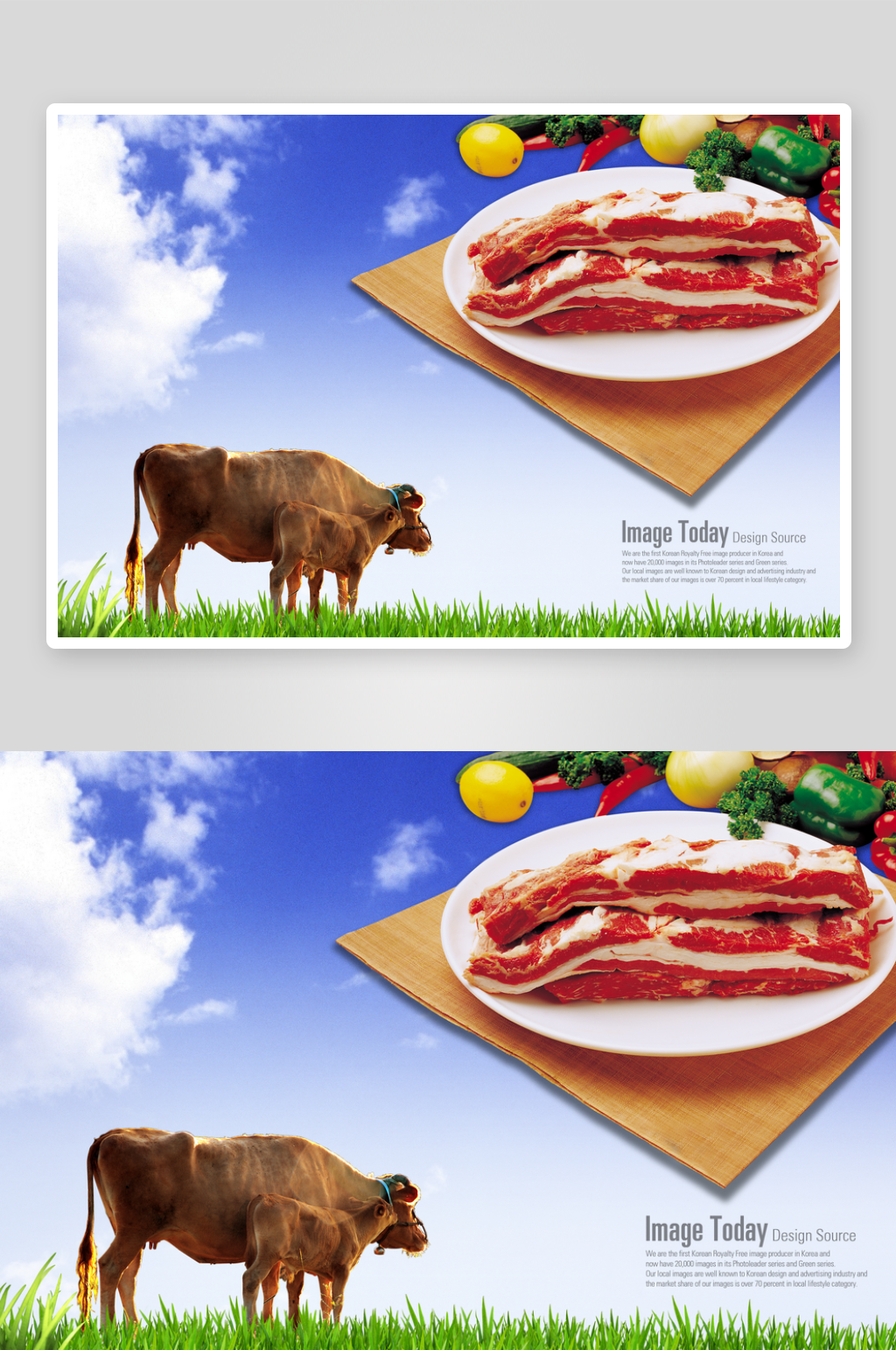 韩国食材牛排肉牛老黄牛海报素材