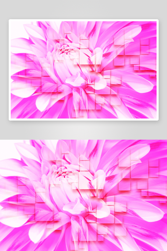 3d花卉花朵立体背景墙-众图网