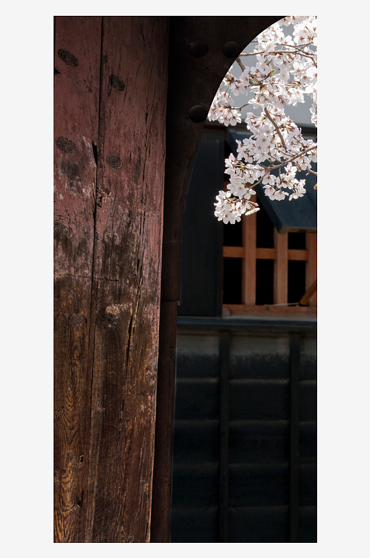 花卉花枝中式装饰画挂画-众图网