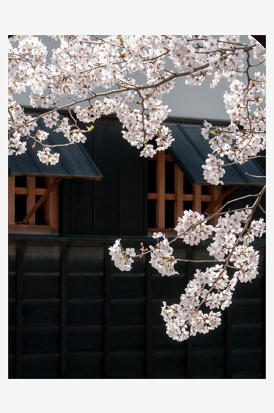 花枝中式挂画装饰画-众图网