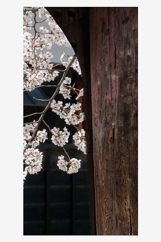 水墨花卉花枝中式装饰画-众图网