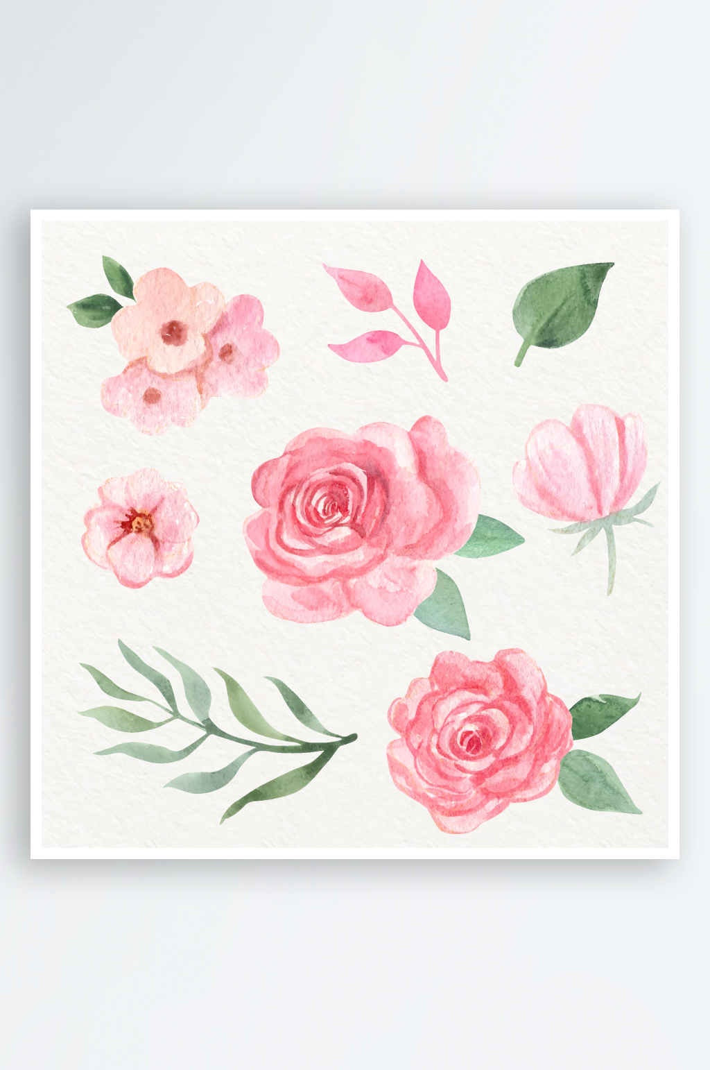 手绘水彩水粉彩色花卉插画矢量元素素材