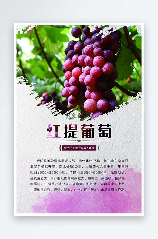 农产品海报设计红提葡萄-众图网
