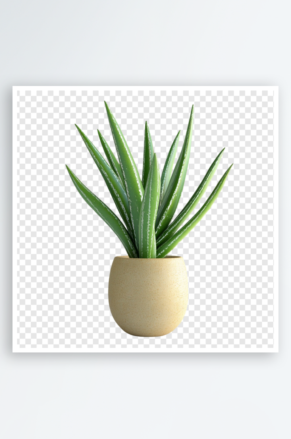 小清新绿色植物盆栽免扣PNG元素PSD素材