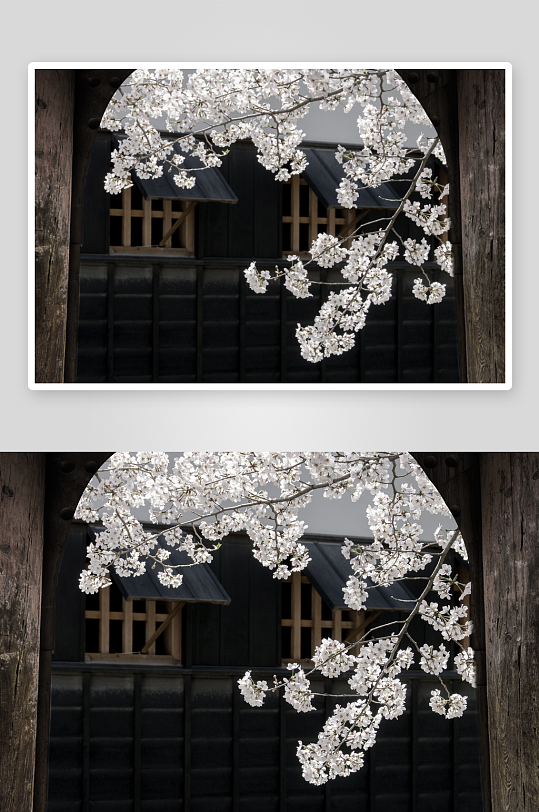 中式花枝花卉风景画艺术装饰画-众图网