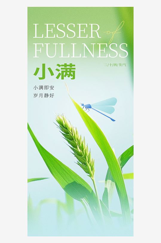 小满二十四节气大气海报-众图网