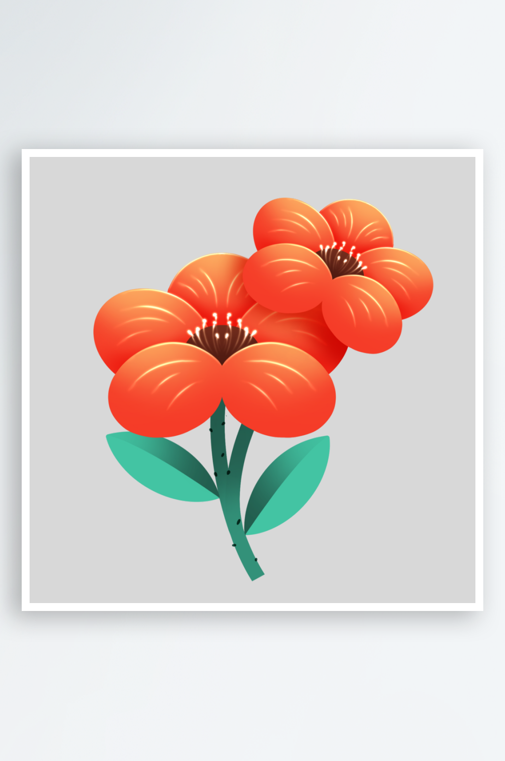 红色植物鲜花橙色花朵插画素材