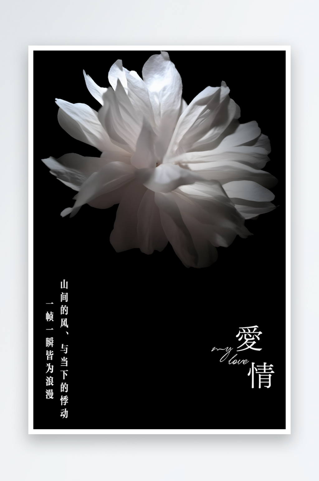 花儿大白花背景素材素材