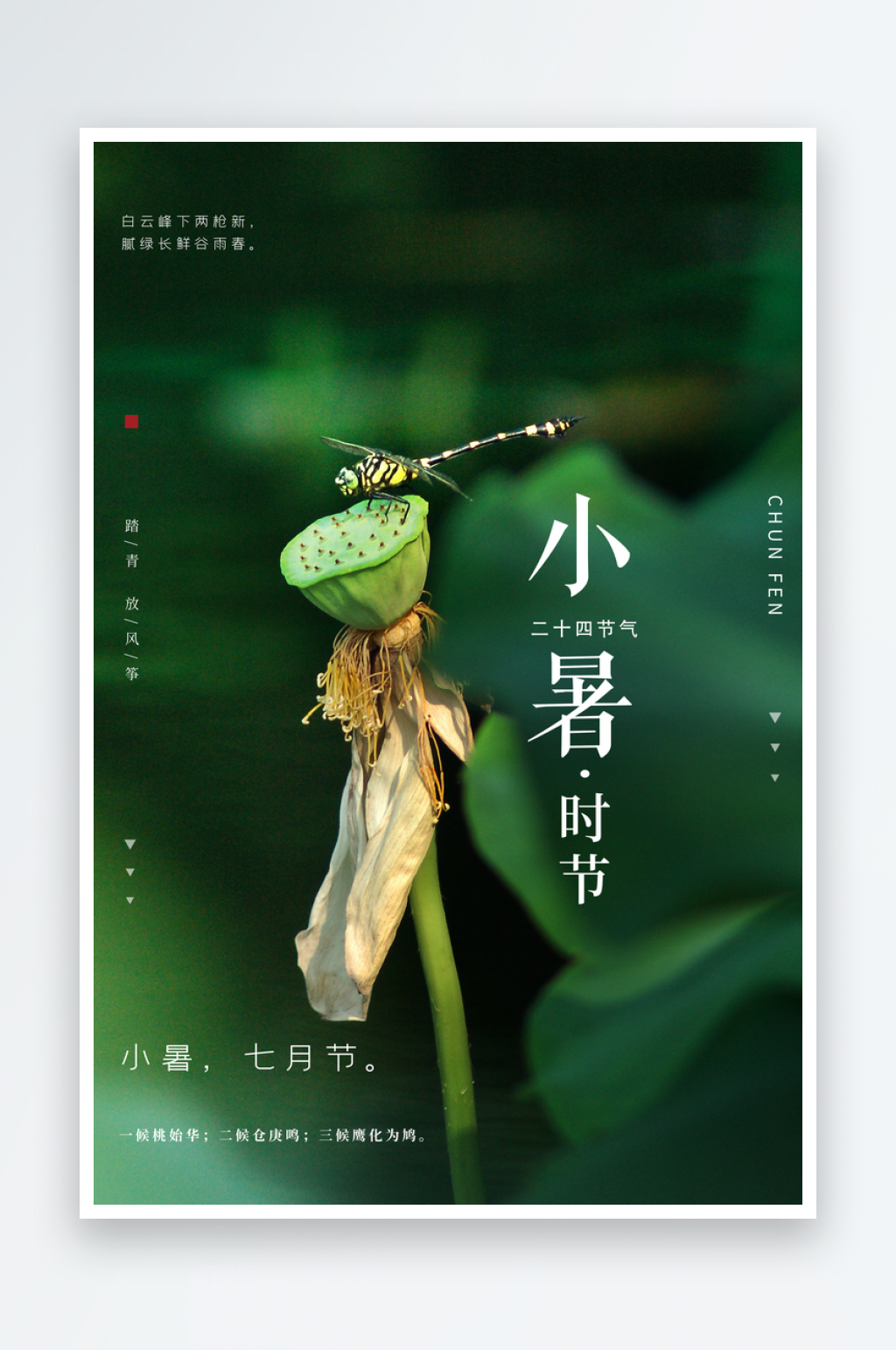 1小暑二十四节气素材