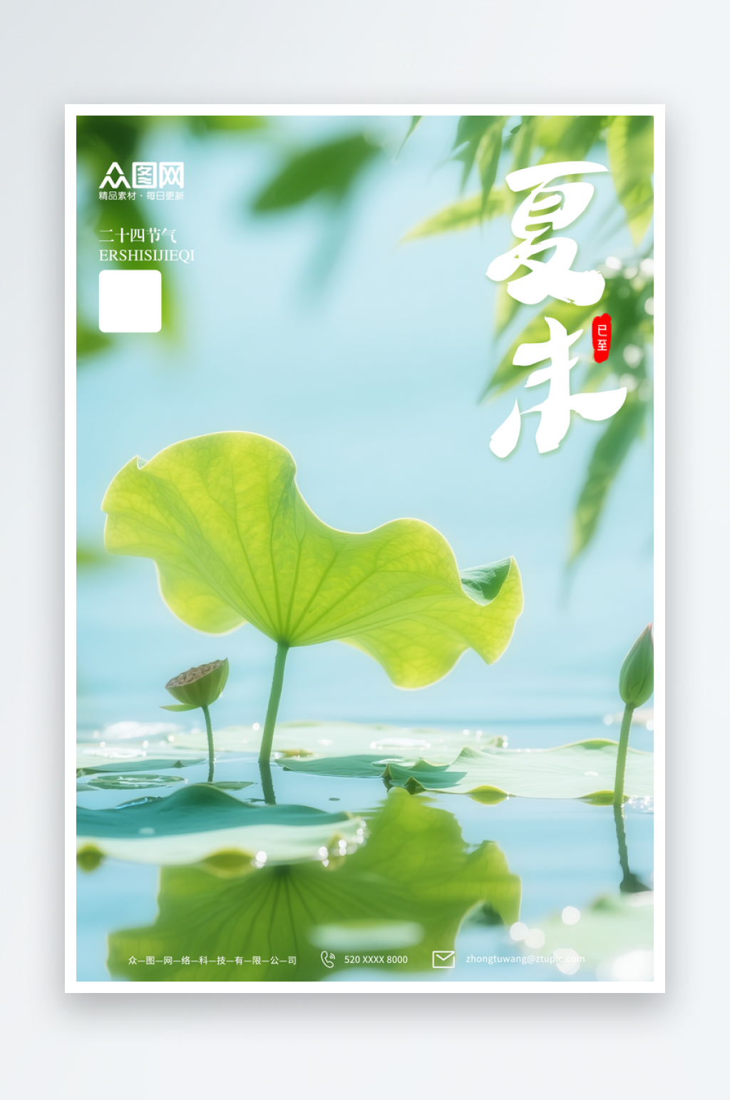 7月7小暑夏末已至素材