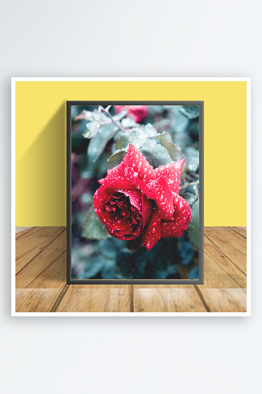 鲜艳花朵图案客厅摆件设计-众图网