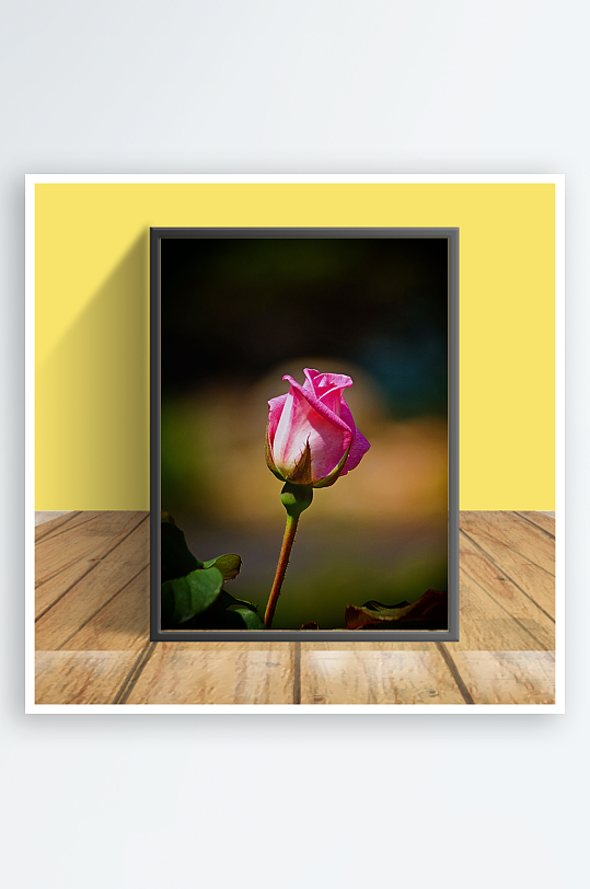 鲜艳花朵玫瑰花客厅摆件设计-众图网