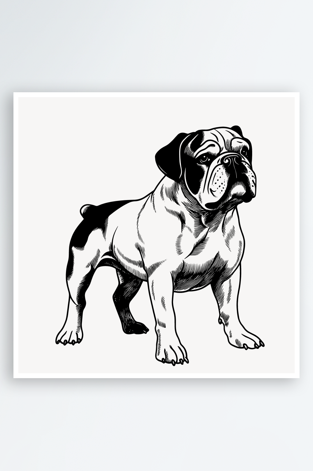 矢量卡通手绘法国斗牛犬素材