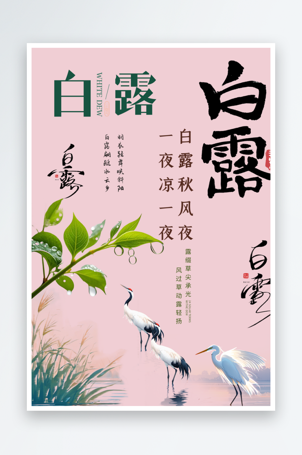 白露节气创意素材素材