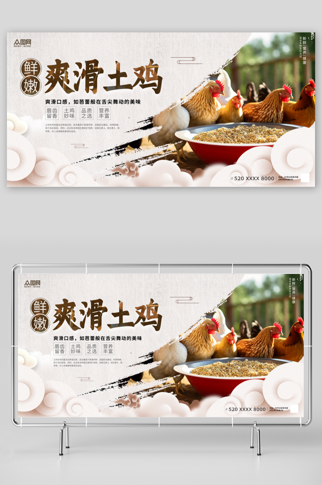 中国风土鸡走地鸡农产品展板素材