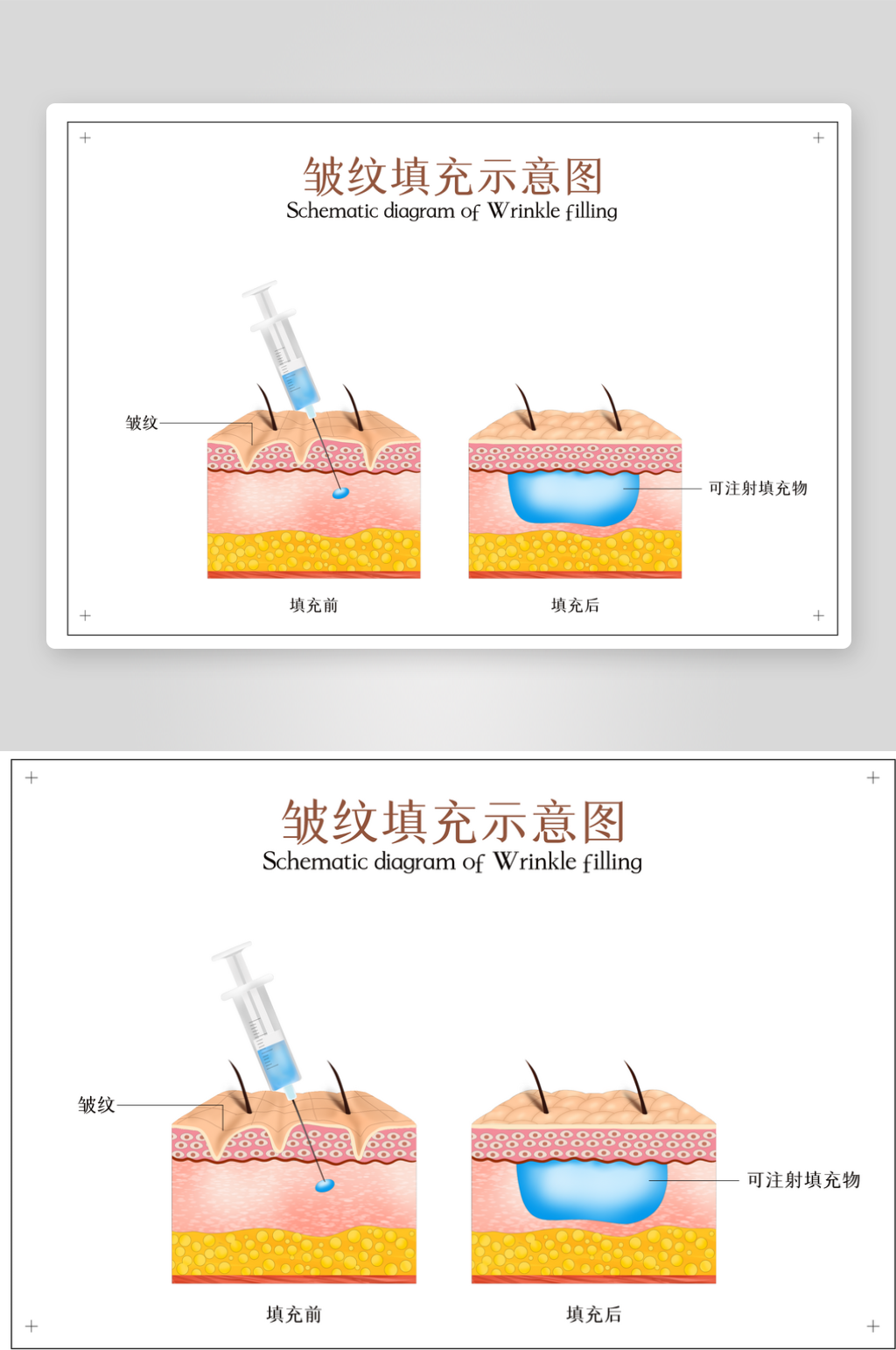 创意简约皮肤结构元素素材