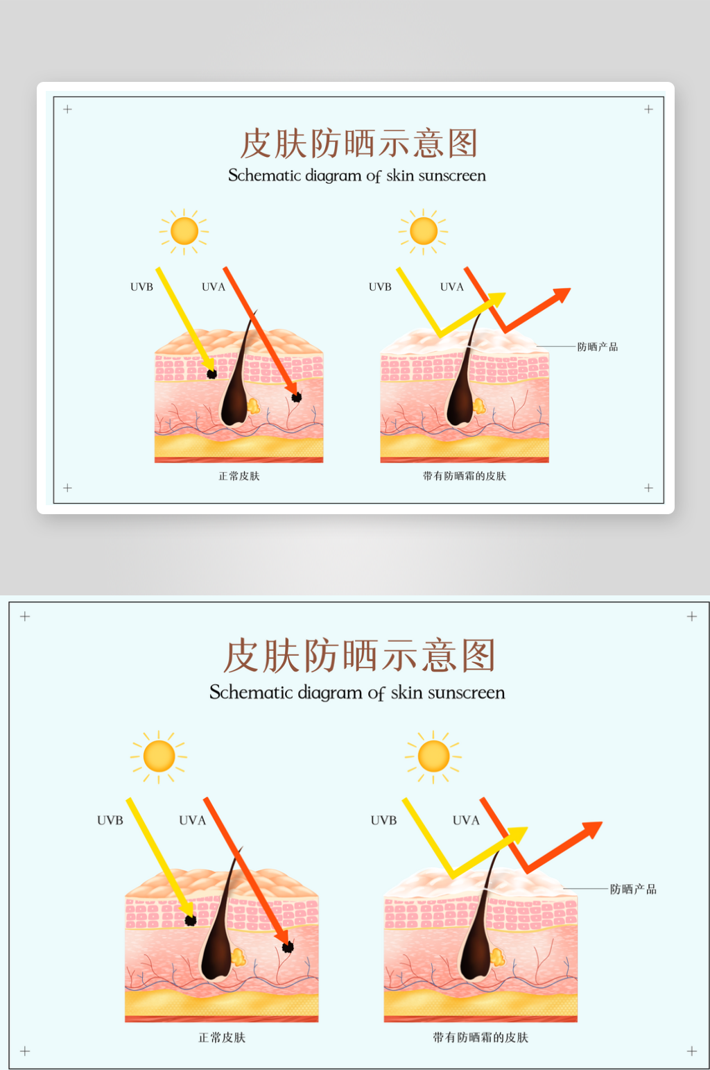 创意简约皮肤结构元素素材