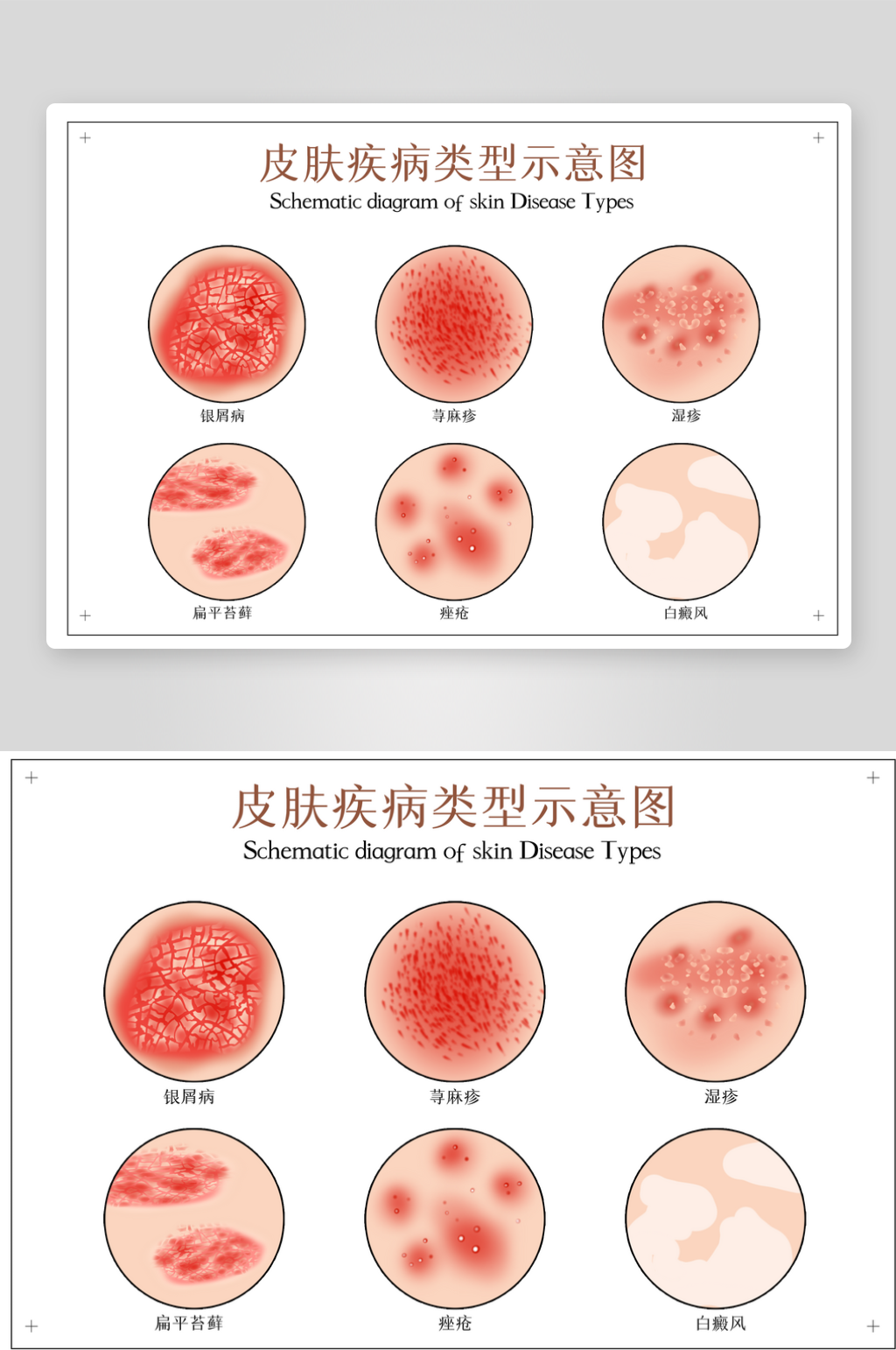 创意简约皮肤结构元素素材