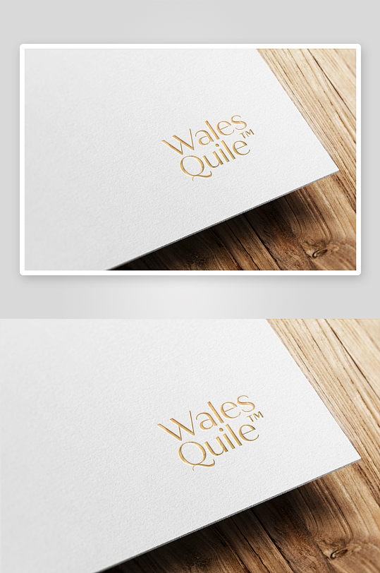 高级烫金LOGO样机mockup分层素材-众图网