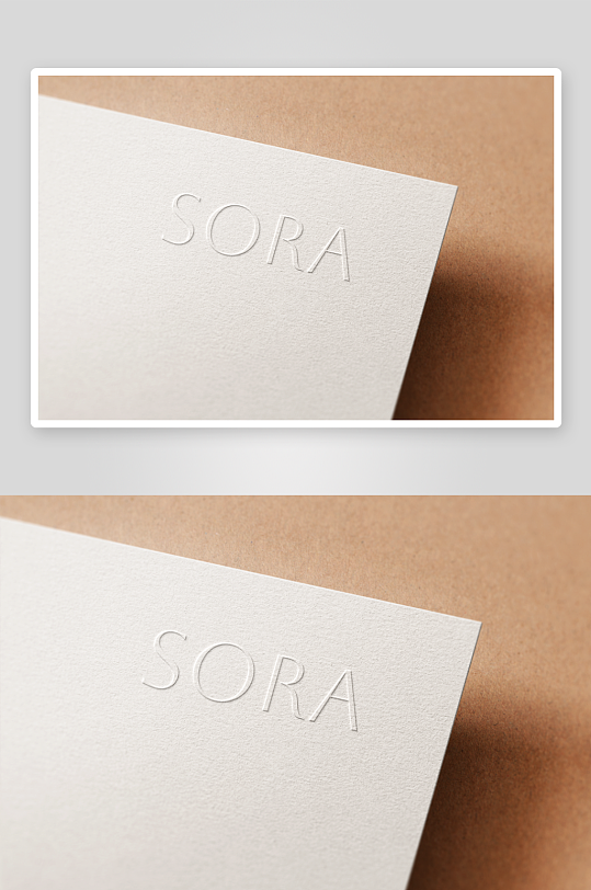 时尚高级LOGO样机mockup分层素材-众图网