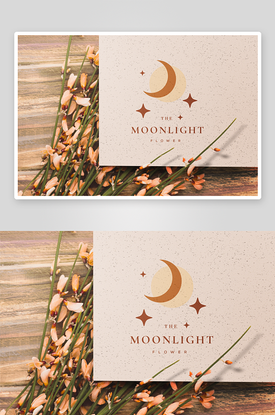 高级LOGO样机mockup分层素材-众图网