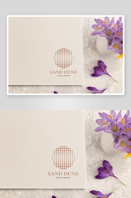 高级LOGO样机mockup分层素材-众图网