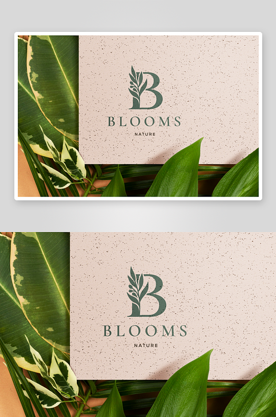 高级LOGO样机mockup分层素材-众图网