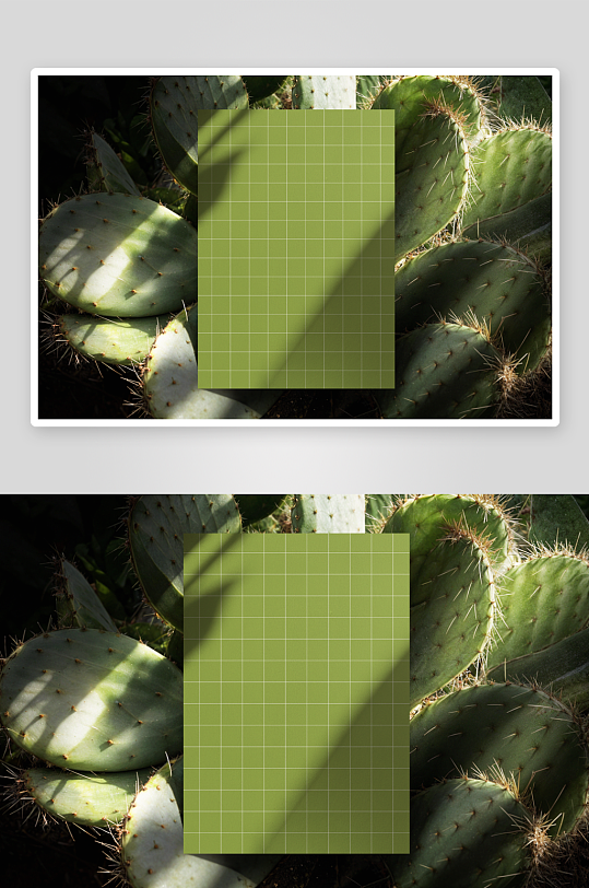海报广告传单样机mockup分层素材-众图网