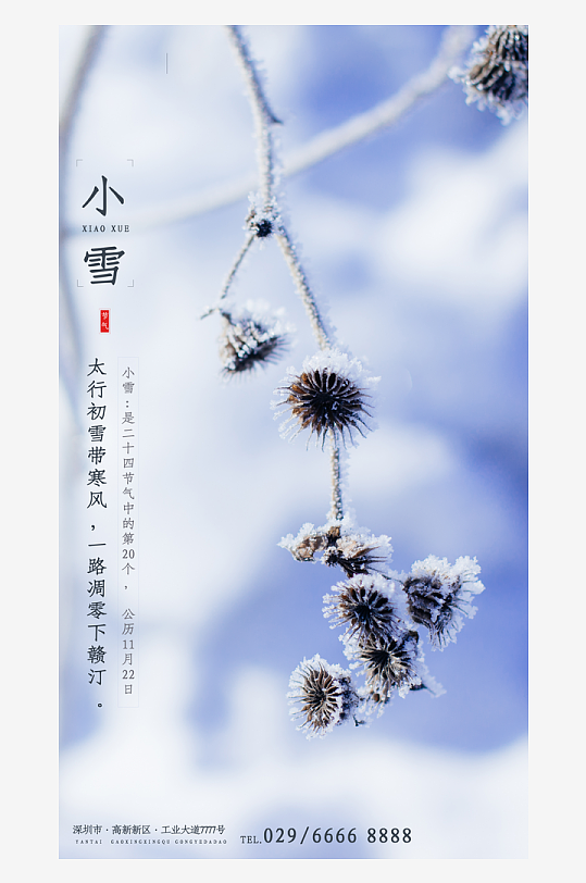 二十四节气小雪海报