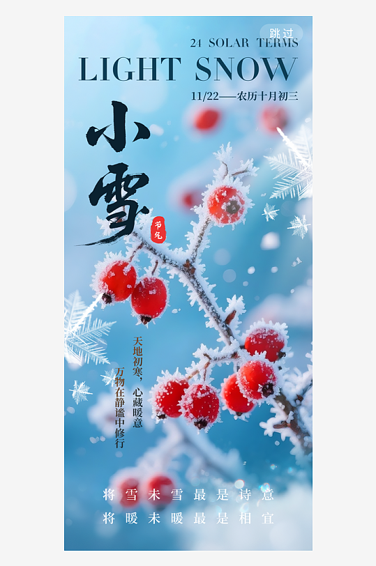 二十四节气小雪海报