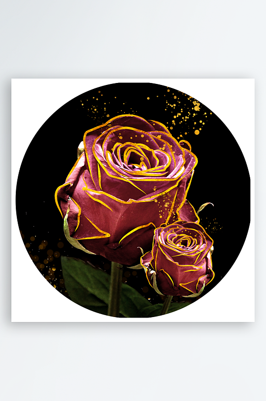 唯美玫瑰花圆形装饰画-众图网