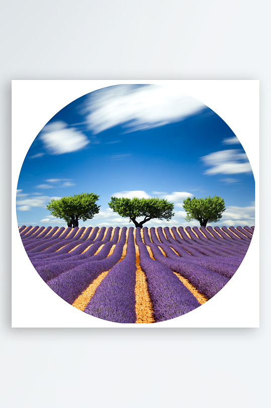 薰衣草风景画圆形装饰画-众图网