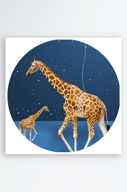 水彩动物圆形装饰画-众图网