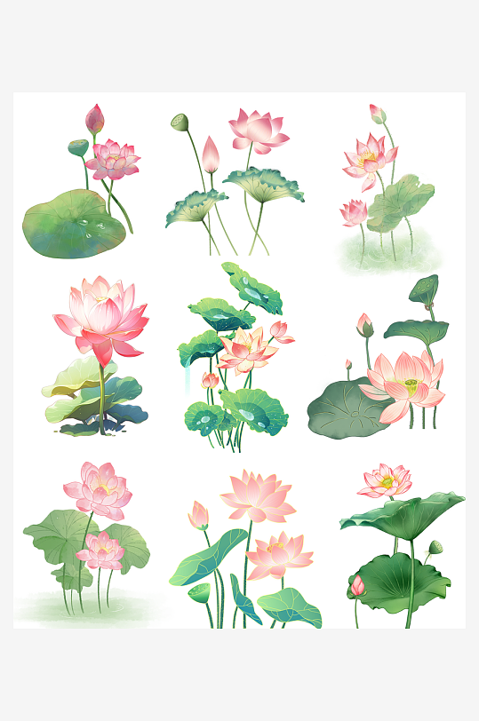 荷花免扣素材图片-众图网