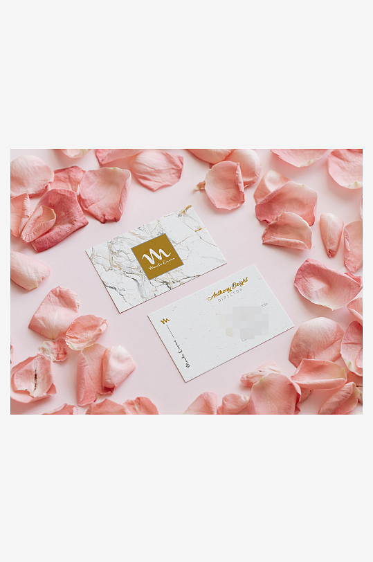 名片卡片场景展示vi样机模板-众图网