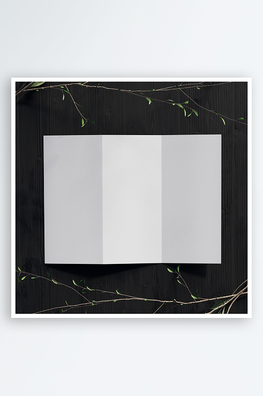 三折页说明书设计样机模板-众图网