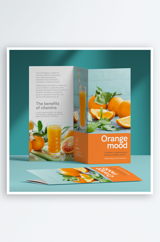 三折页说明书设计样机模板-众图网