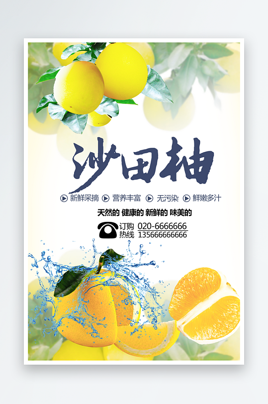 柚子海报设计模版-众图网