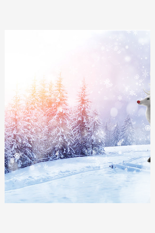 森系背景装饰画图片-众图网