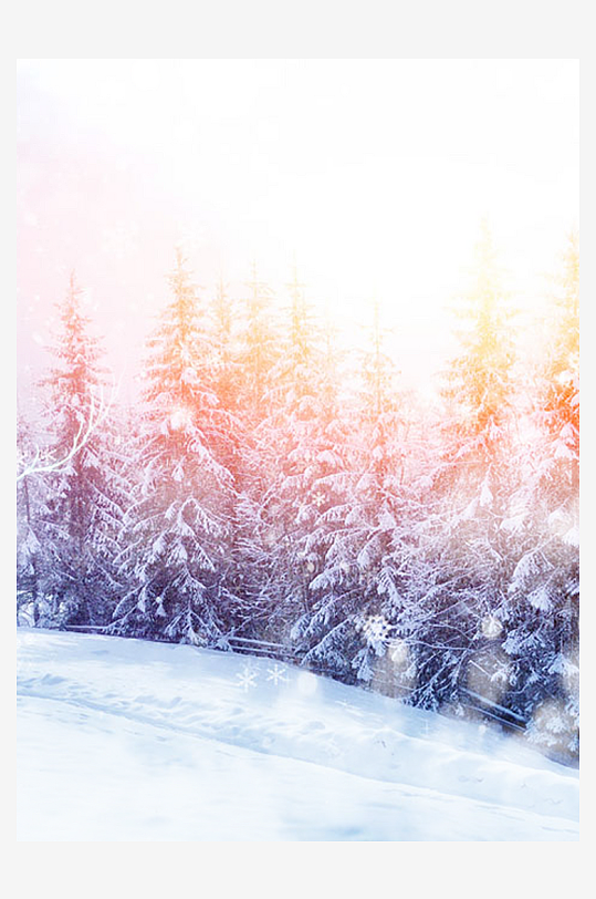 森系背景装饰画图片素材-众图网