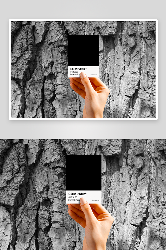 名片卡片样机素材-众图网