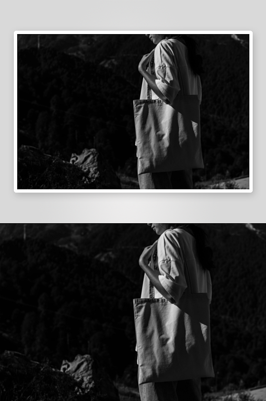 时尚手提帆布袋样机-众图网