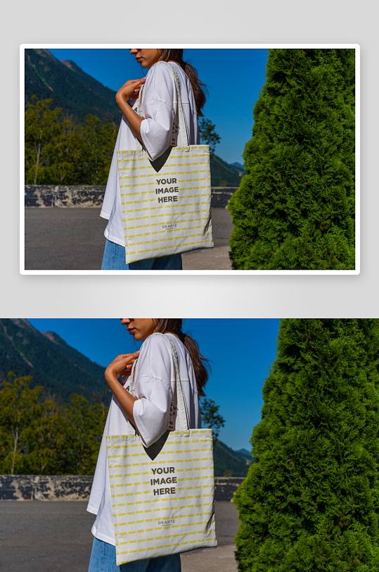 时尚手提帆布袋样机素材-众图网