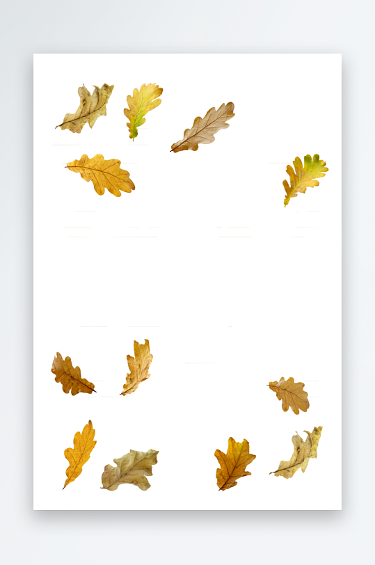 落叶树叶免抠素材-众图网
